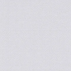 Enhanced illustration based on Original fabric swatch Canvas-1 from D-FINESTCANVAS; approximate ivory image tone.
