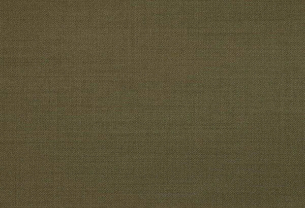 Original fabric swatch 79000-16 from New Siri 79000; approximate olive image tone.