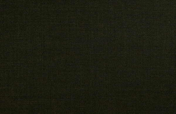 Original fabric swatch 887-21 from New Siri 887; approximate olive image tone.