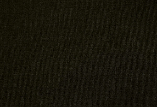 Original fabric swatch 79000-17 from New Siri 79000; approximate olive image tone.