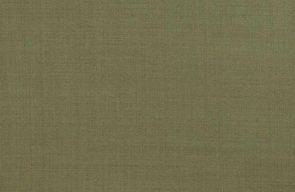 Original fabric swatch 887-17 from New Siri 887; approximate olive image tone.