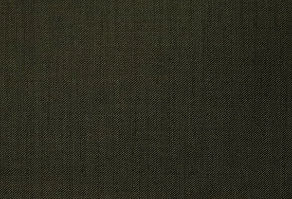 Original fabric swatch 79000-19 from New Siri 79000; approximate olive image tone.