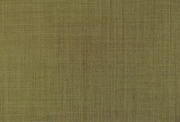 Original fabric swatch 79104-3 from New Siri 79100; approximate olive image tone.