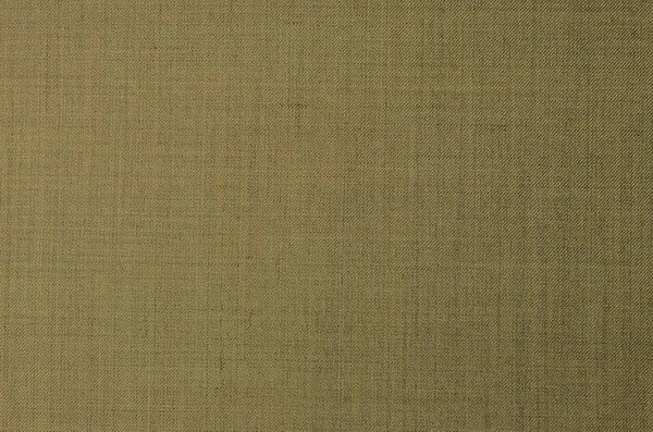 Original fabric swatch 3799-43 from New Siri 3799; approximate olive image tone.