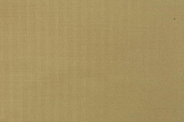 Original fabric swatch 79101-5 from New Siri 79100; approximate sand image tone.