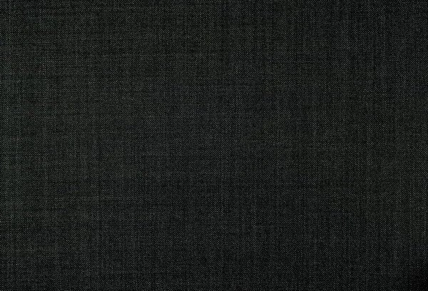 Original fabric swatch 79104-8 from New Siri 79100; approximate black image tone.