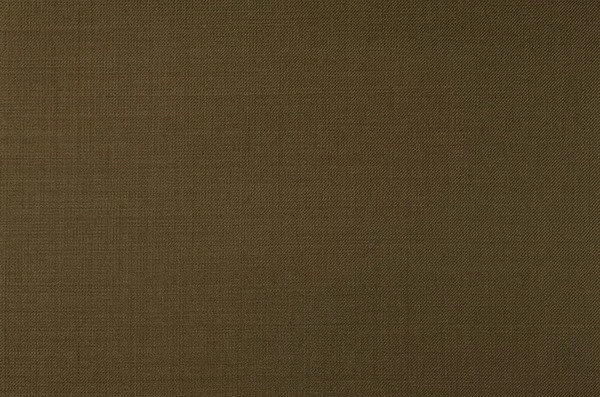 Original fabric swatch 3799-6 from New Siri 3799; approximate olive image tone.