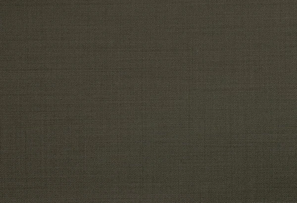 Original fabric swatch 79000-13 from New Siri 79000; approximate olive image tone.