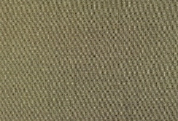 Original fabric swatch 79104-1 from New Siri 79100; approximate olive image tone.