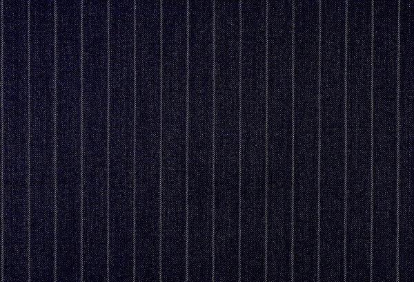 Original fabric swatch 79107-1 from New Siri 79100; approximate navy image tone.
