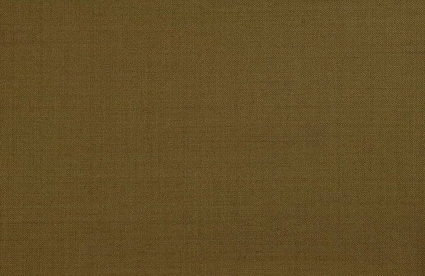 Original fabric swatch 887-8 from New Siri 887; approximate olive image tone.